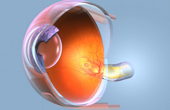 Know what is Retina & the 7 common problems-min